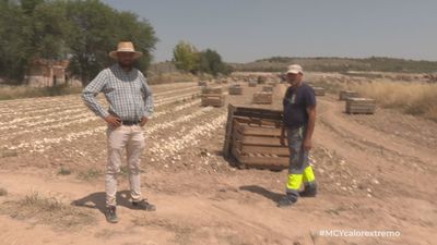Villamanrique de Tajo, el pueblo más caluroso de Madrid