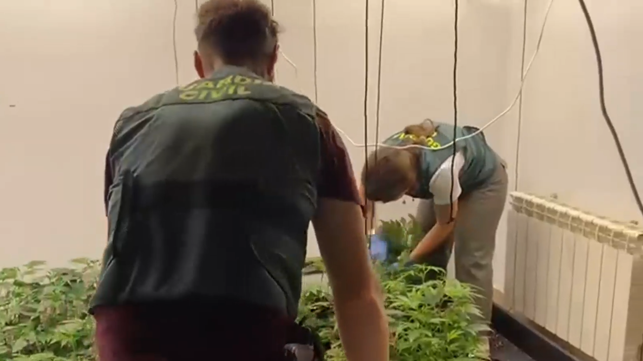 Chinchón y Soto del Real, bases de una red de narcotraficantes desarticulada por la Guardia Civil