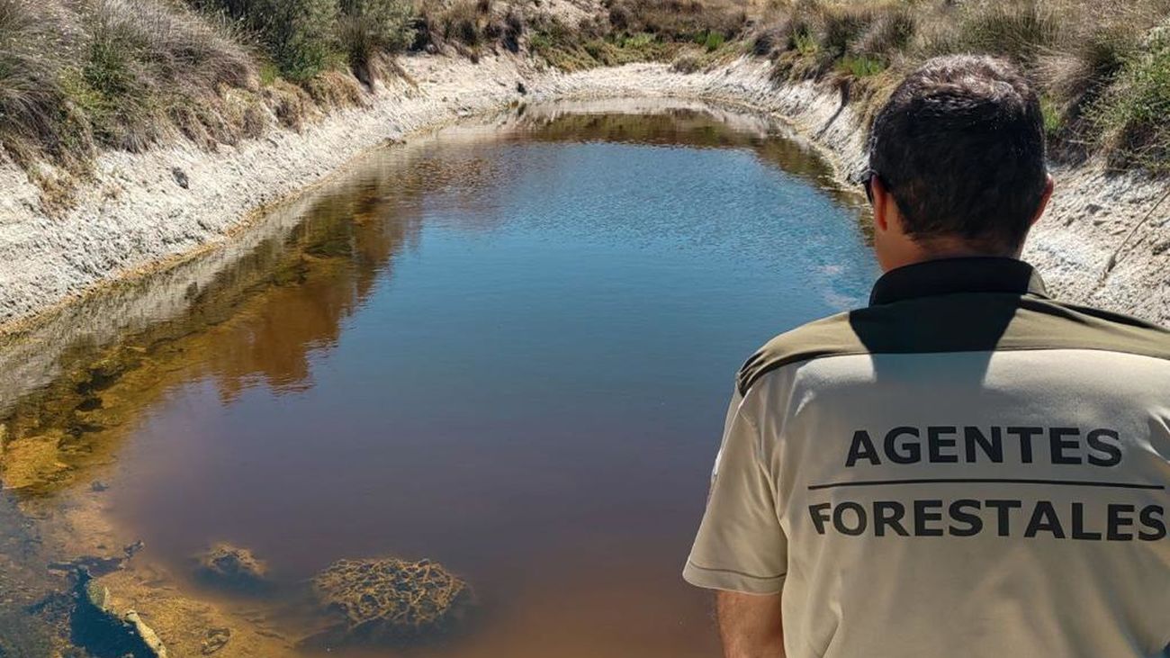 Un agente forestal en la laguna roja de Colmenar de Oreja