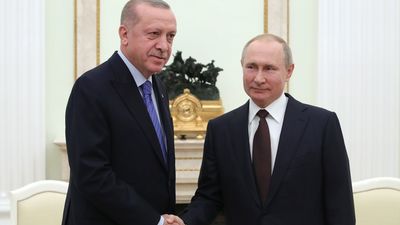 Erdogan pide a Putin renovar el acuerdo del grano y no aumentar la tensión del conflicto