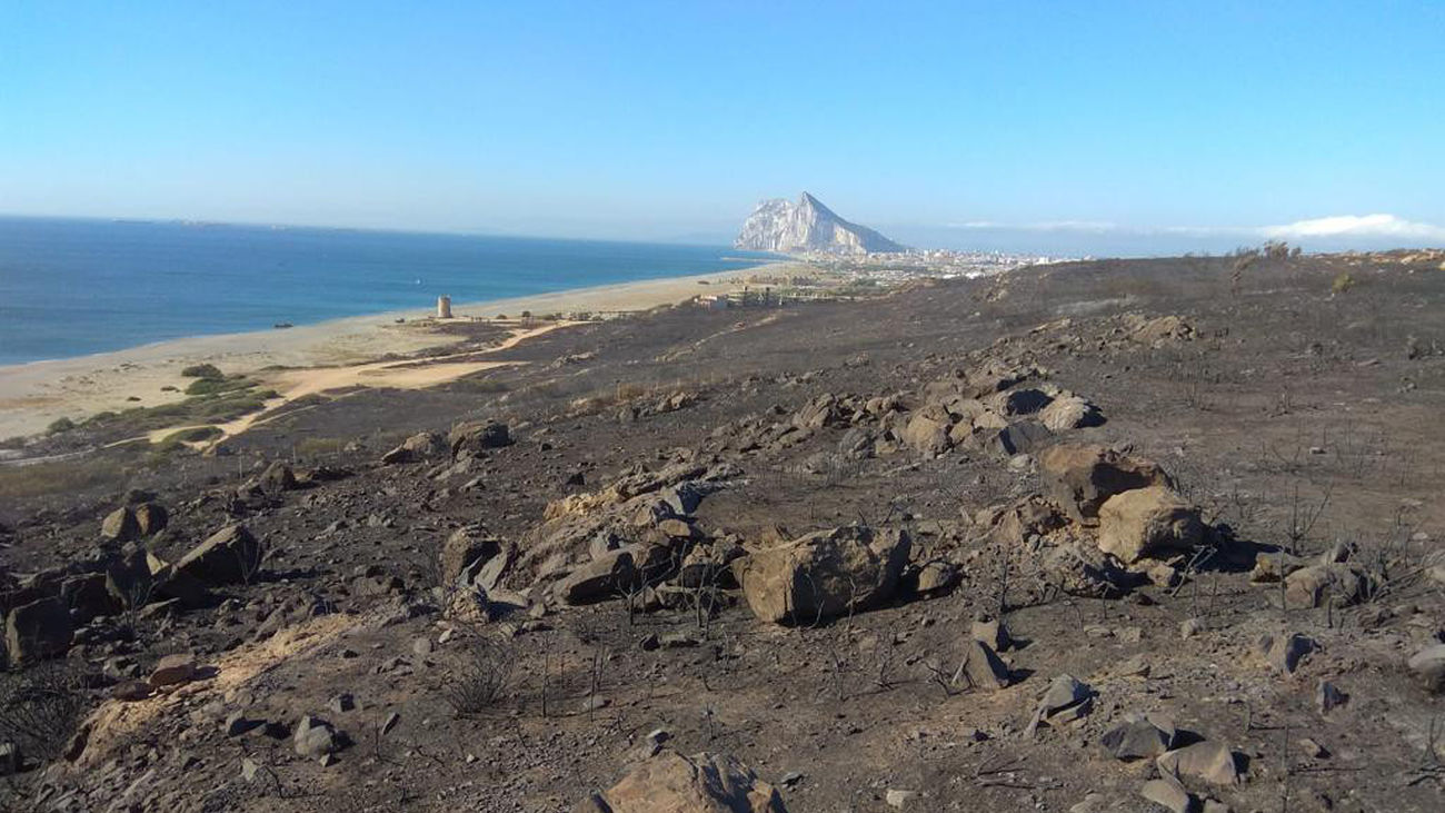 El incendio de La Línea, en Cádiz, calcina casi el 10% del término municipal