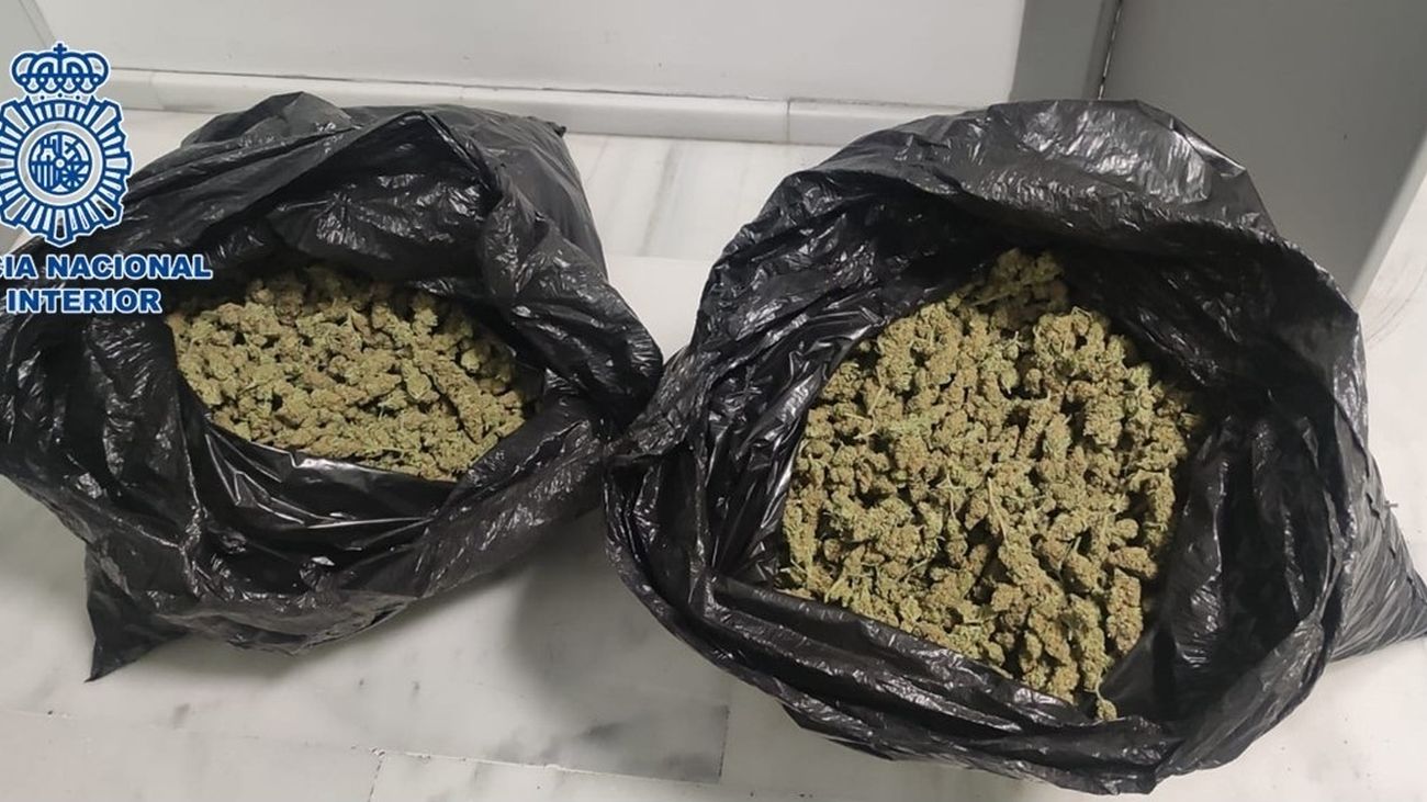 Desmantelado un cultivo de 2.000 plantas de marihuana en una vivienda de Seseña