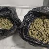 Desmantelado un cultivo de 2.000 plantas de marihuana en una vivienda de Seseña