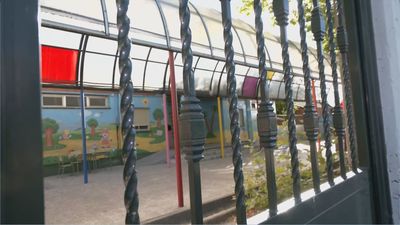 Plaga de ratas en un campamento de Las Rozas