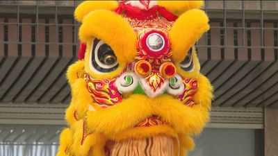 El ritual milenario originario de China en los Veranos de la Villa de Madrid