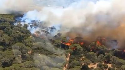 Incendio activo en Puerto Real, Cádiz, "con viento y condiciones muy difíciles de trabajar"