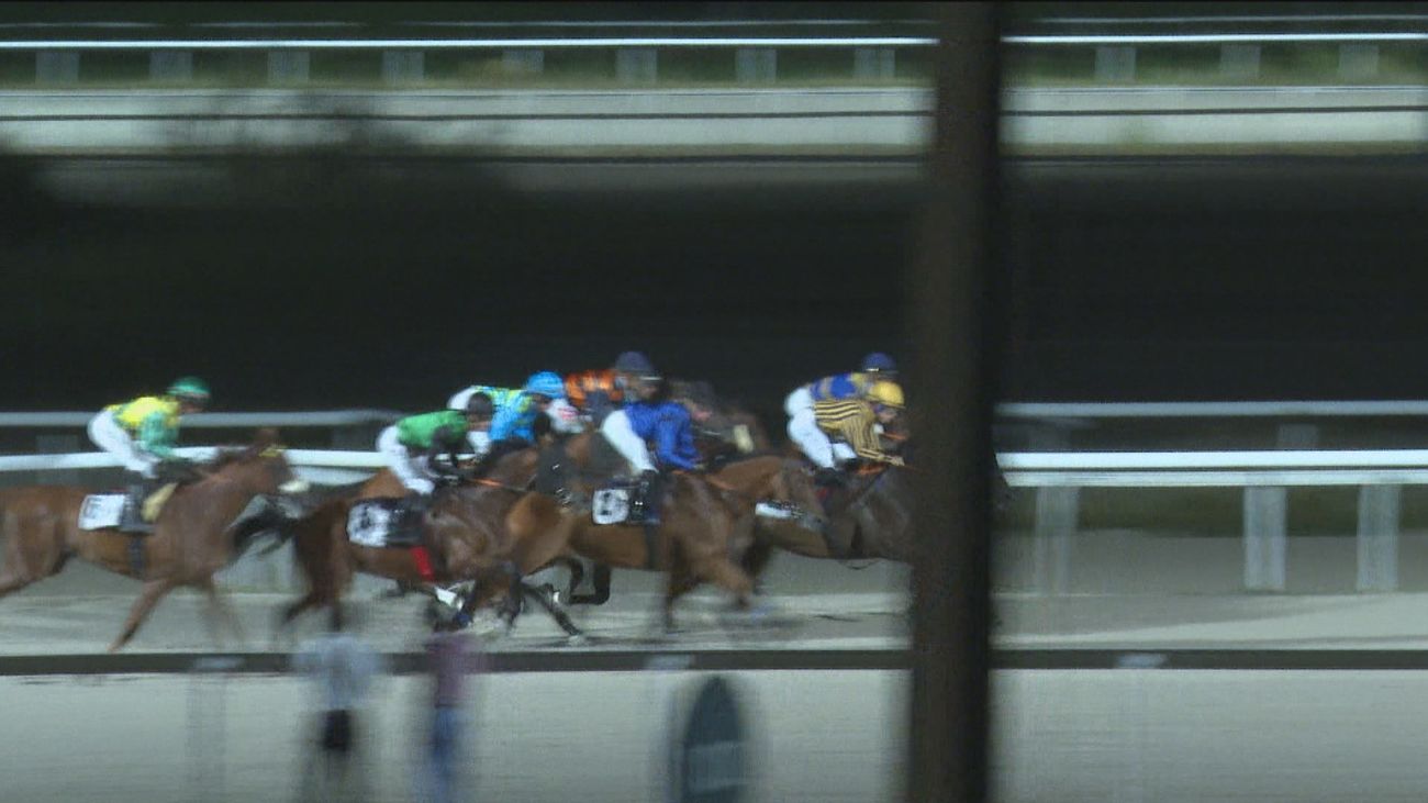 Llegan a su fin las carreras en las Noches del hipódromo de la Zarzuela