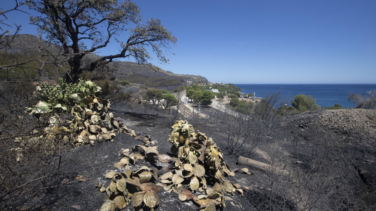 Vista de las zonas afectadas por el incendio en Portbou