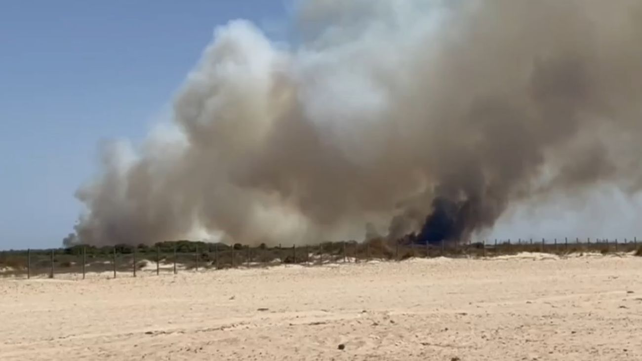 Incendio en Puerto Real, Cádiz, que amenaza el parque natural de Las Canteras