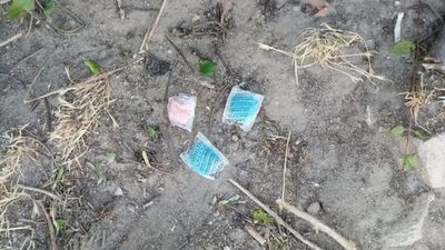 Encuentran en la urbanización El Guijo de Galapagar bolsas con un veneno potencialmente peligroso para gatos