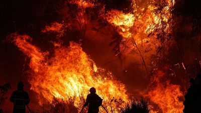 El fuego arrasa miles de hectáreas de Portugal y deja cerca de 1.500 evacuados