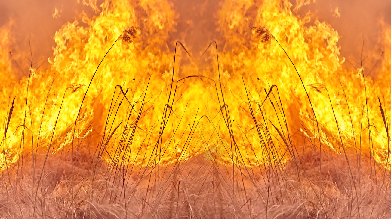 Riesgo extremo de incendios en la Comunidad de Madrid