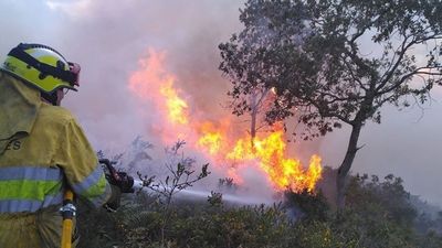 España vive el tercer peor año de la década en incendios forestales