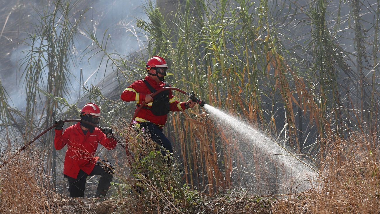 Bomberos portugueses luchando contra el fuego en el incendio del pasado 8 de agosto