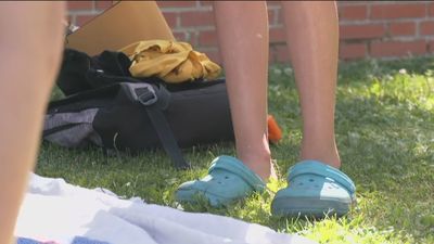 Chanclas y sandalias en verano: cómodas pero perjudiciales para los pies