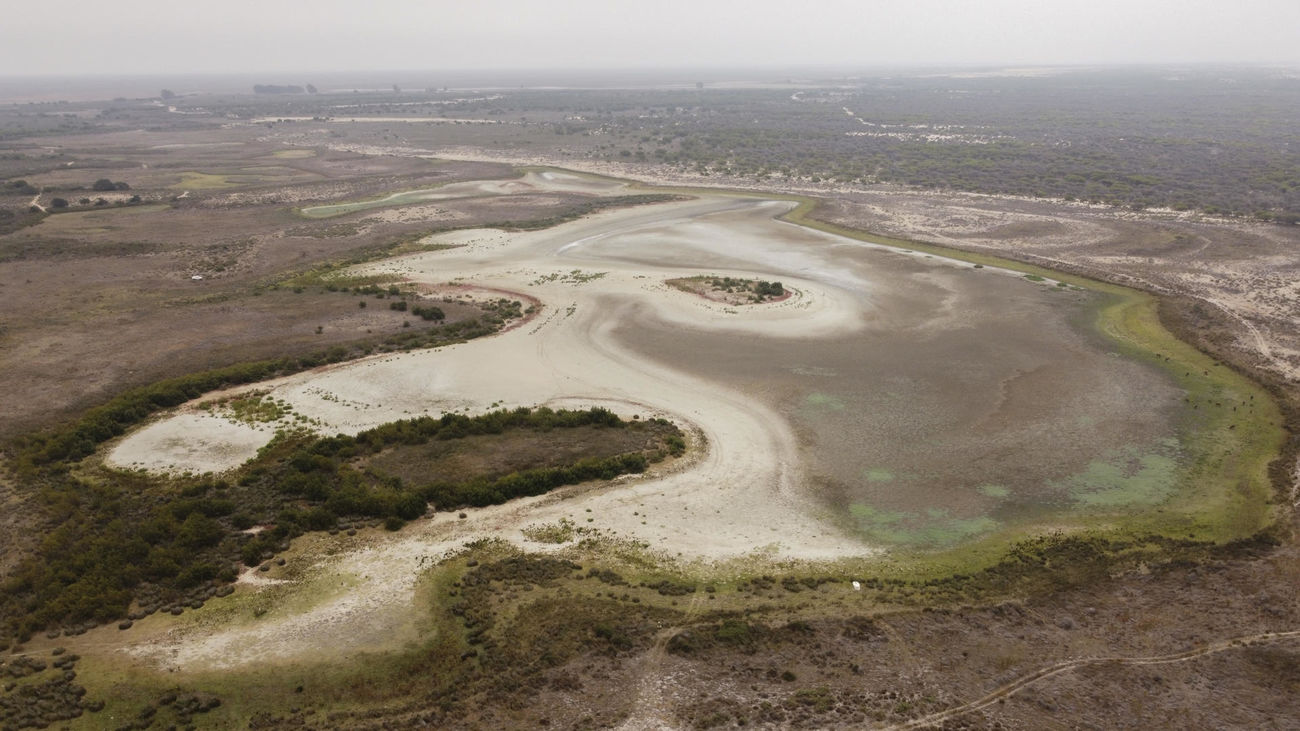 Cárcel para los dueños de una finca en Doñana por superar los límites de riego