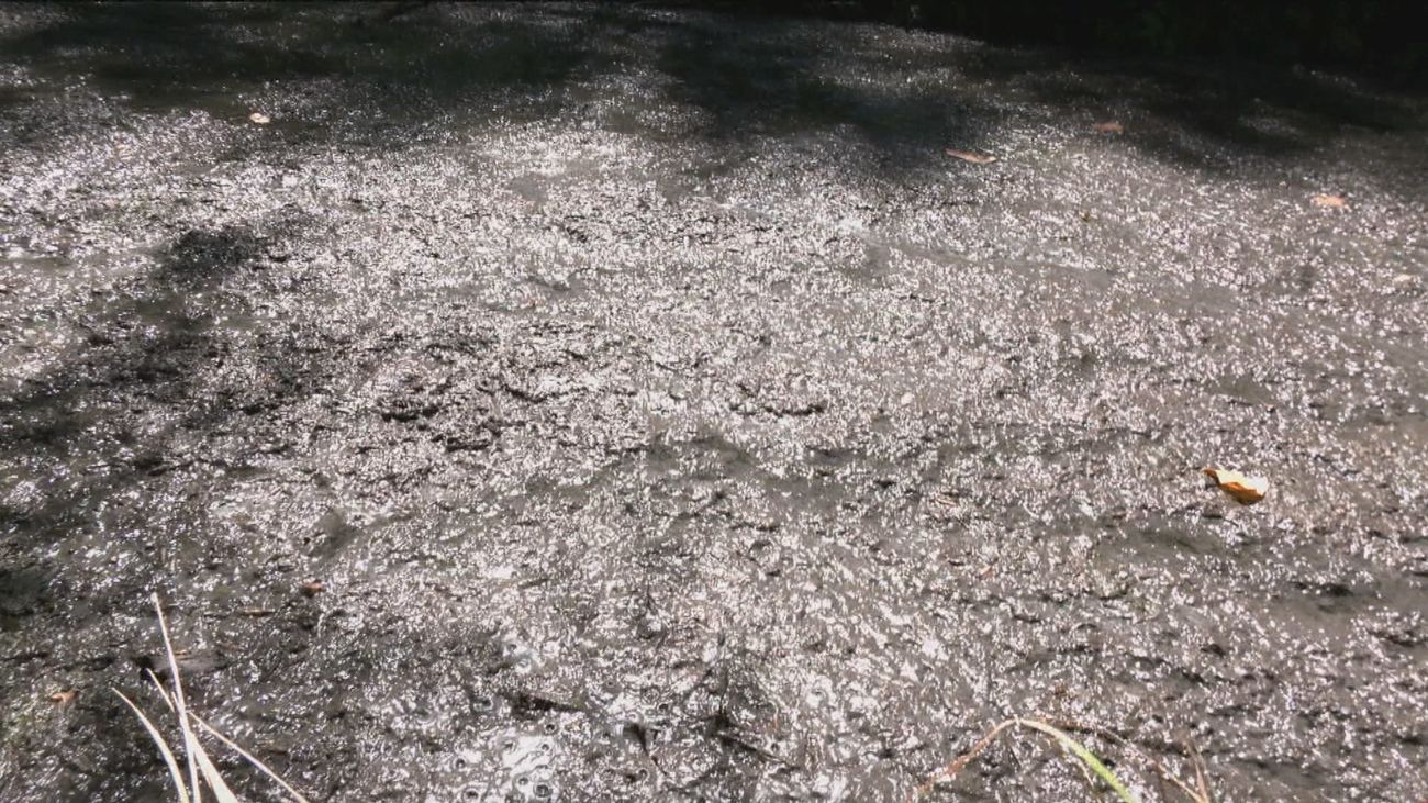 Vertidos fecales y toallitas inundan el río San Muriel en El Boalo