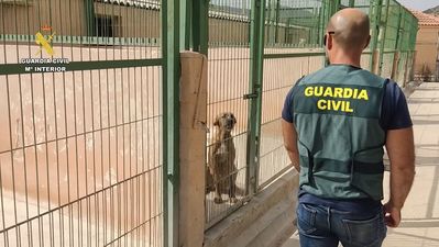 Detenido por estafar a los dueños de mascotas robadas