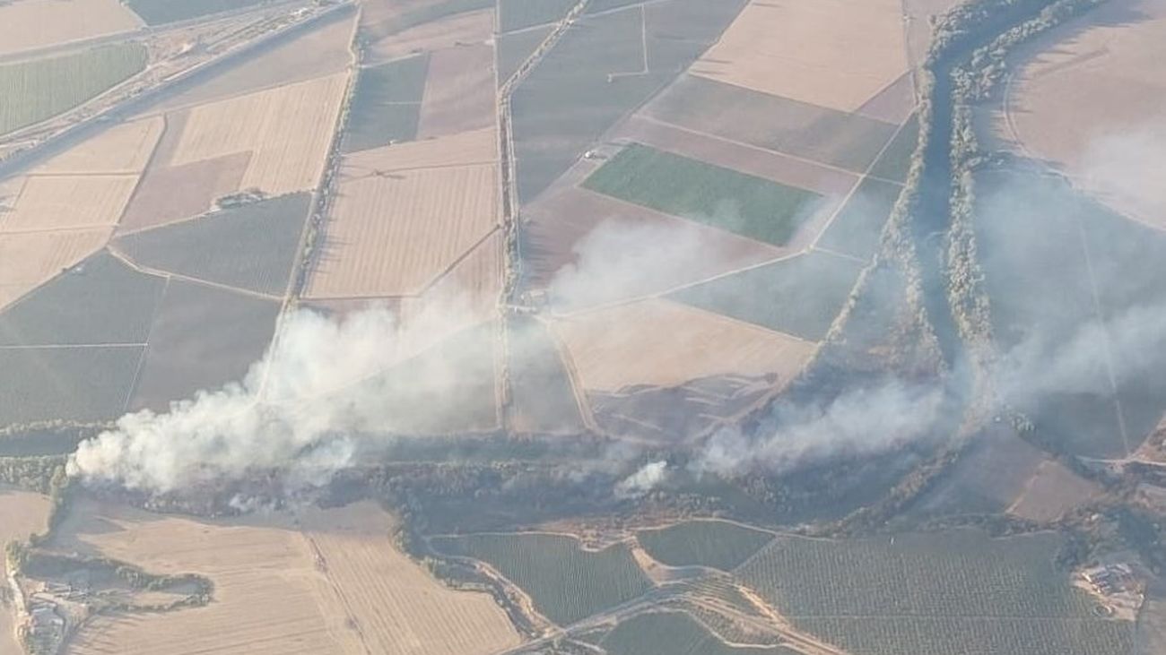 Iincendio forestal en Almodóvar del Río (Córdoba)