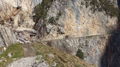 Muere un joven de 25 años tras despeñarse 60 metros en la ruta del Cares (Asturias)