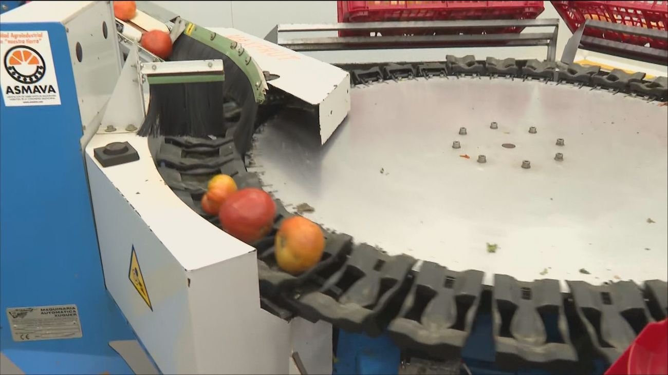 'Madrid Rural', el primer mercado de alimentos locales sin intermediarios de España