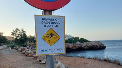 Cuelgan carteles falsos en playas de Mallorca para ahuyentar a los turistas