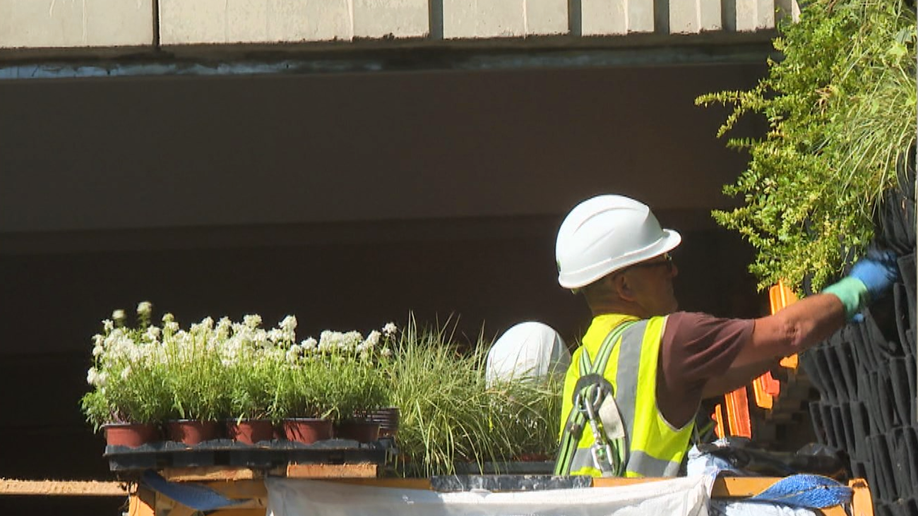 Arquitectos piden una estrategia nacional para adaptar las ciudades al calor