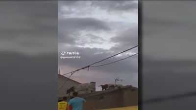 Dos cabestros, inesperados protagonistas de las fiestas de Villalpando