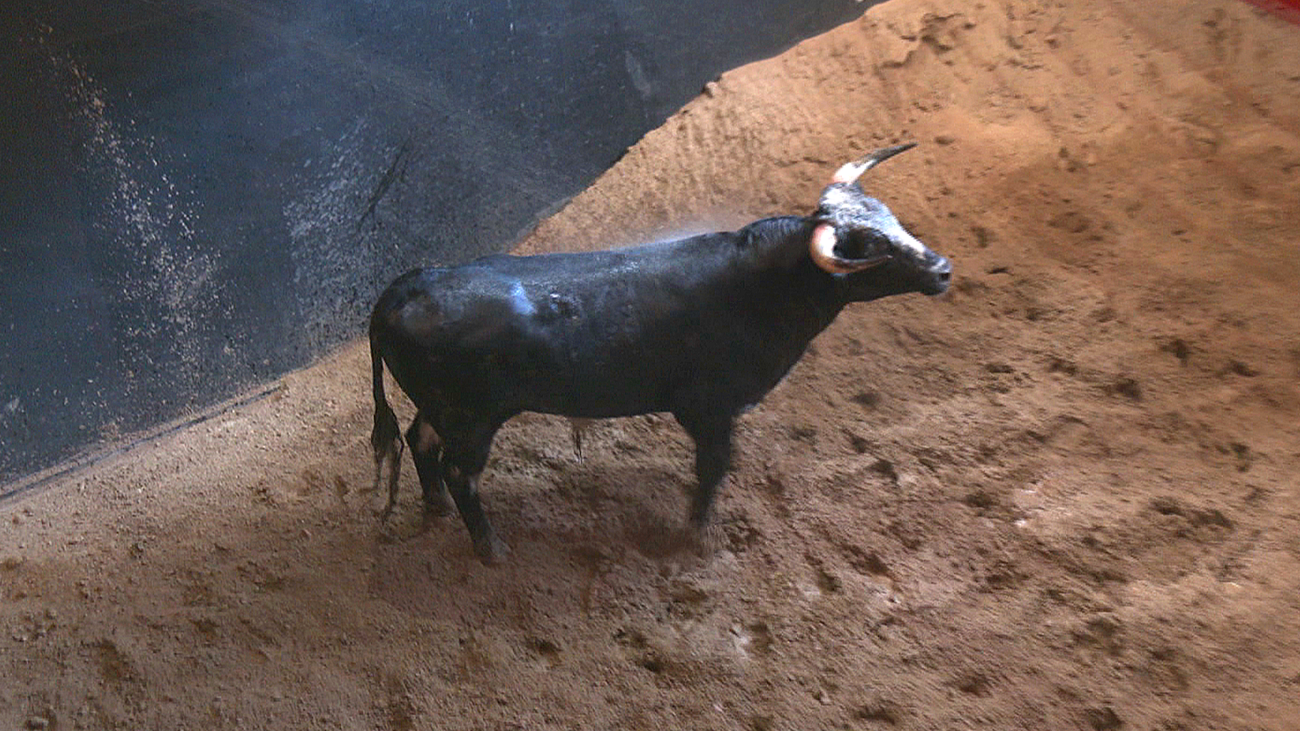 Cenicientos celebra sus fiestas en honor a la Virgen del Roble
