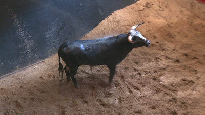 Cenicientos celebra sus fiestas en honor a la Virgen del Roble