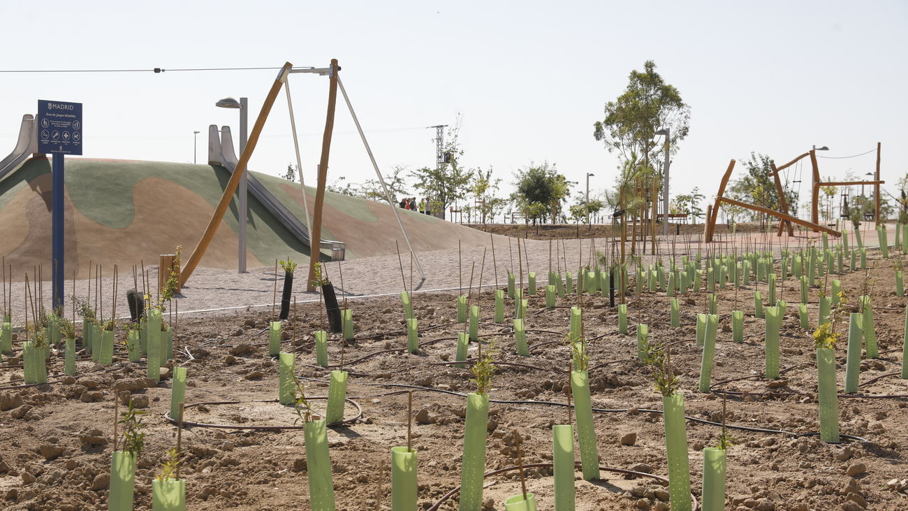 Parque semiforestal en San Blas