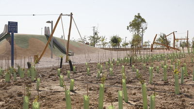 Madrid estrena un gran parque semiforestal en Las Rosas que oxigenará la M-40