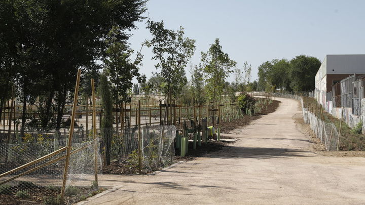 Vista de uno de los paseos del nuevo parque semiforestal / AYUNTAMIENTO DE MADRID