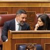 Vox pide "explicaciones" al PP por no ayudarles en la Mesa del Congreso