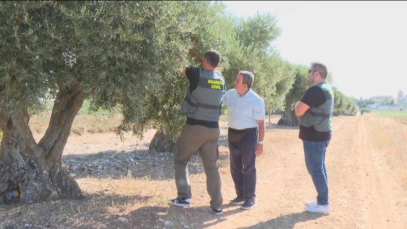 El grupo Roca de la Guardia Civil y los agricultores se unen contra los robos de cosecha en Pezuela de las Torres