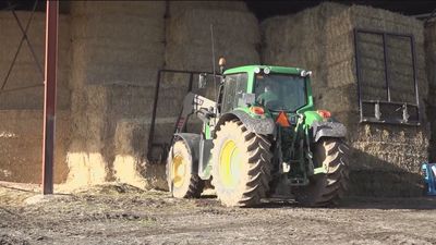 El  precio de la paja por las nubes