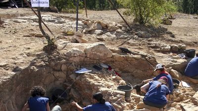 Más de 100 investigadores trabajan en las excavaciones del yacimiento de Pinilla del Valle