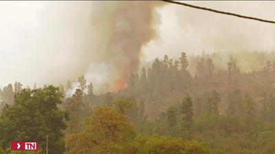 26.000 evacuados por el incendio de Tenerife, que sigue descontrolado