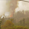 26.000 evacuados por el incendio de Tenerife, que sigue descontrolado