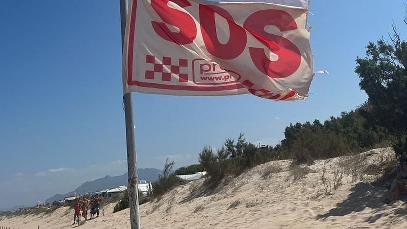 Cierran durante horas dos playas de Valencia por la presencia de un tiburón azul