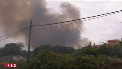 La Guardia Civil confirma que el incendio de Tenerife fue provocado