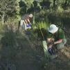 Voluntarios plantan y riegan árboles para reforestar el monte Abantos