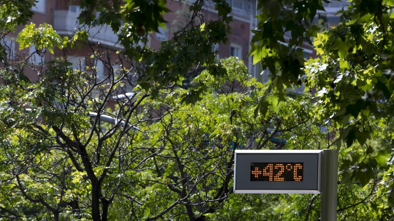 Cuarta ola de calor: mañanas de infierno, noches de insomnio