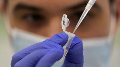 ¿Cuáles son los síntomas de Pirola, la nueva y peligrosa variante del covid?