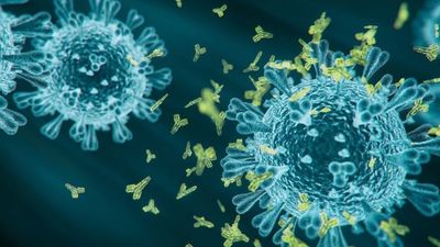 La Comunidad de Madrid pide "tranquilidad" ante la variante Eris de la Covid