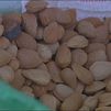 Nuevo lamento del campo por la sequía, ahora con la almendra