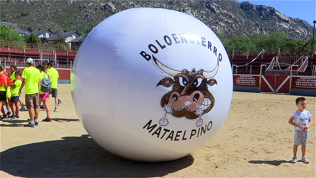 Mataelpino prepara su 'boloencierro' para las fiestas en honor a San Bartolomé