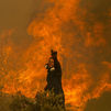 Sigue el alto riesgo de incendios en Grecia, con más de 40.000 hectáreas quemadas ya