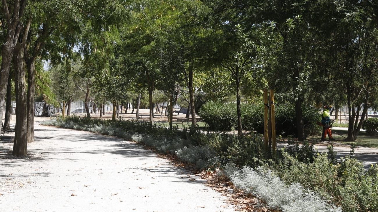 El Parque de Las Cruces abre sus puertas con nuevas zonas deportivas y espacios caninos