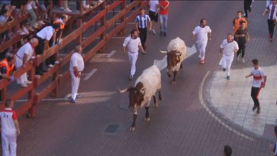 Toda la información sobre los festejos taurinos de las fiestas de Sanse